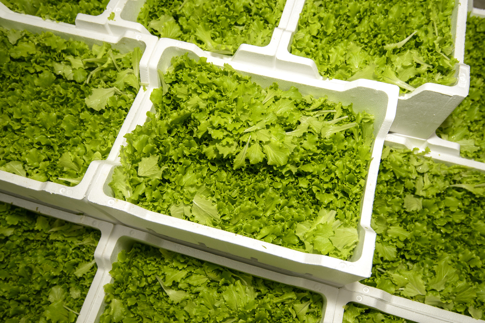 Vegetables-Boxes
